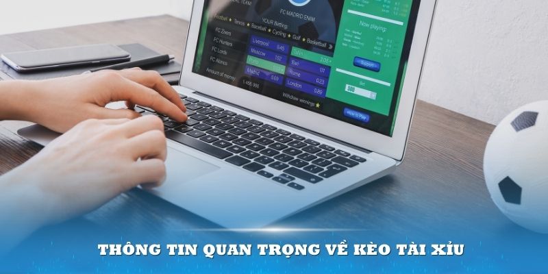 Am hiểu các thông tin quan trọng về kèo Tài Xỉu sẽ là lợi thế lớn dành cho bạn